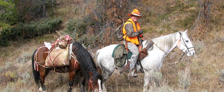 Horseback Pack Trips in Colorado
