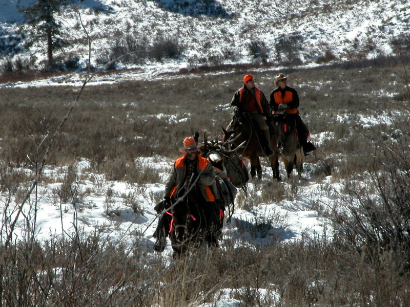 Elk hunters on horseback in Rocky Mountains