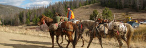 Hunters on horseback in Colorado