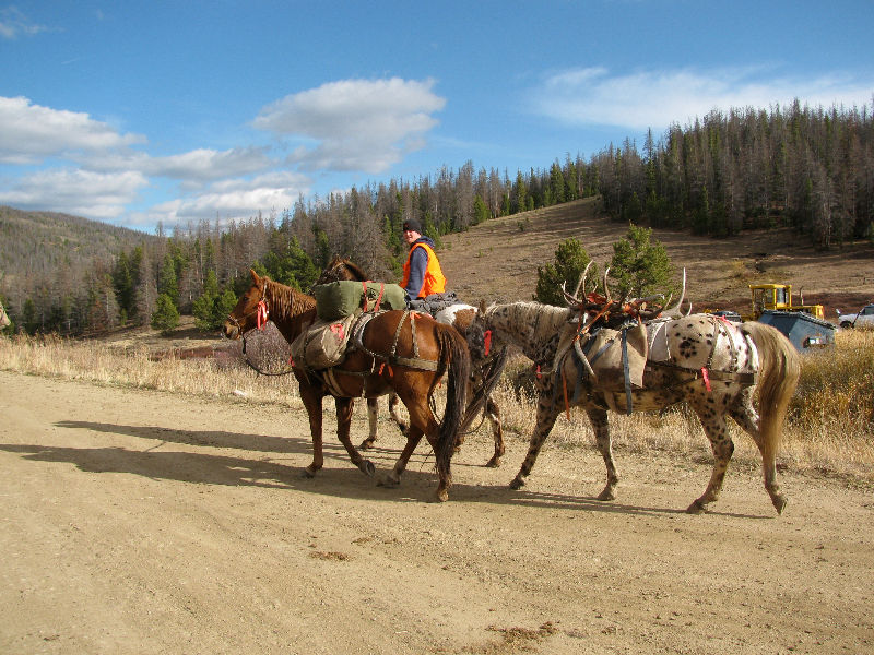 Hunters on horseback in Colorado