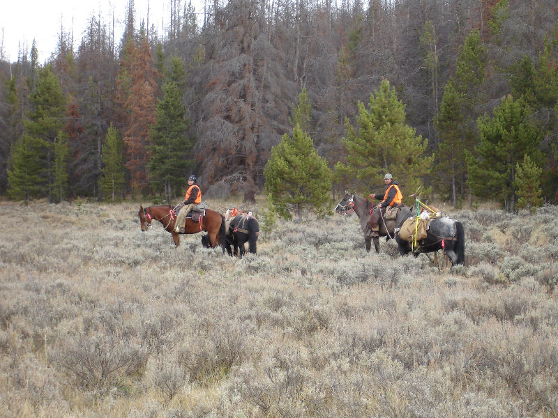 Hunting on Horseback