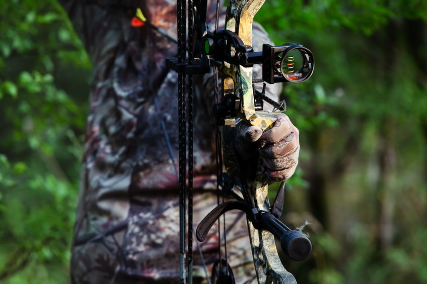 Hunter using modern bow to hunt elk 